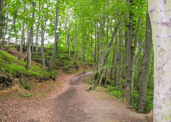 Cozy In With Wifi Сasa de vacaciones *